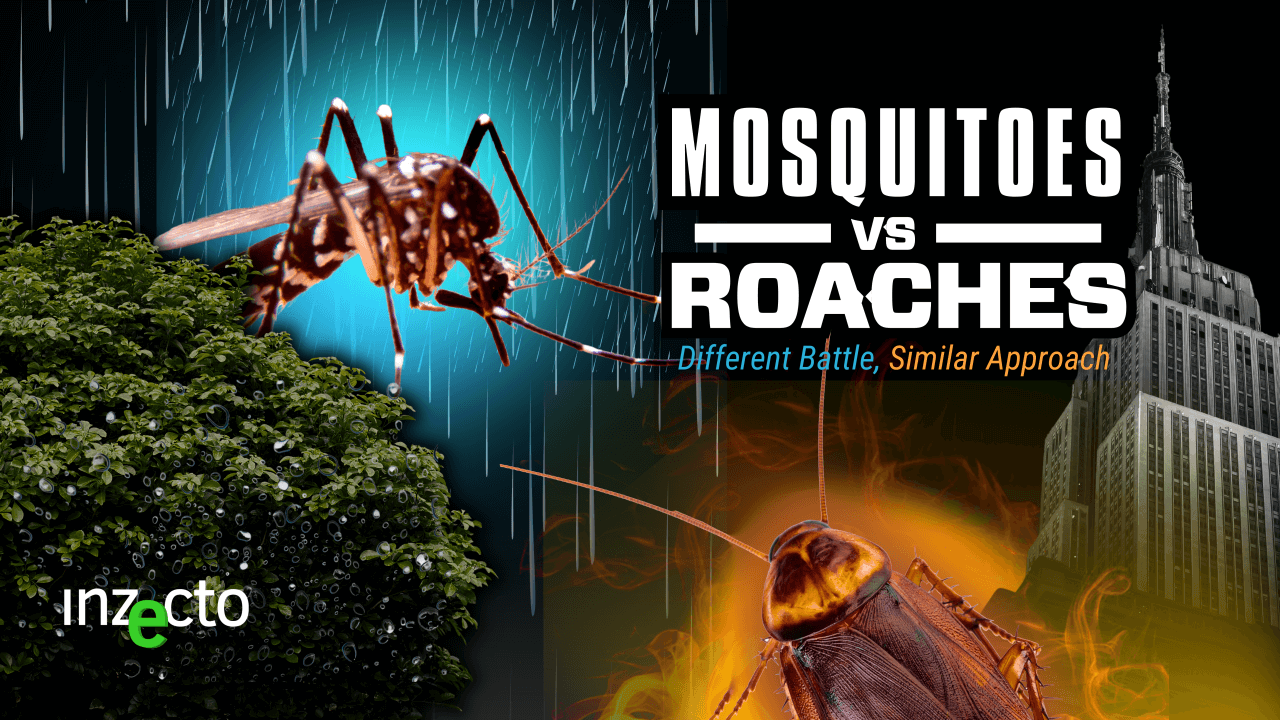 Mosquito and Fly Control