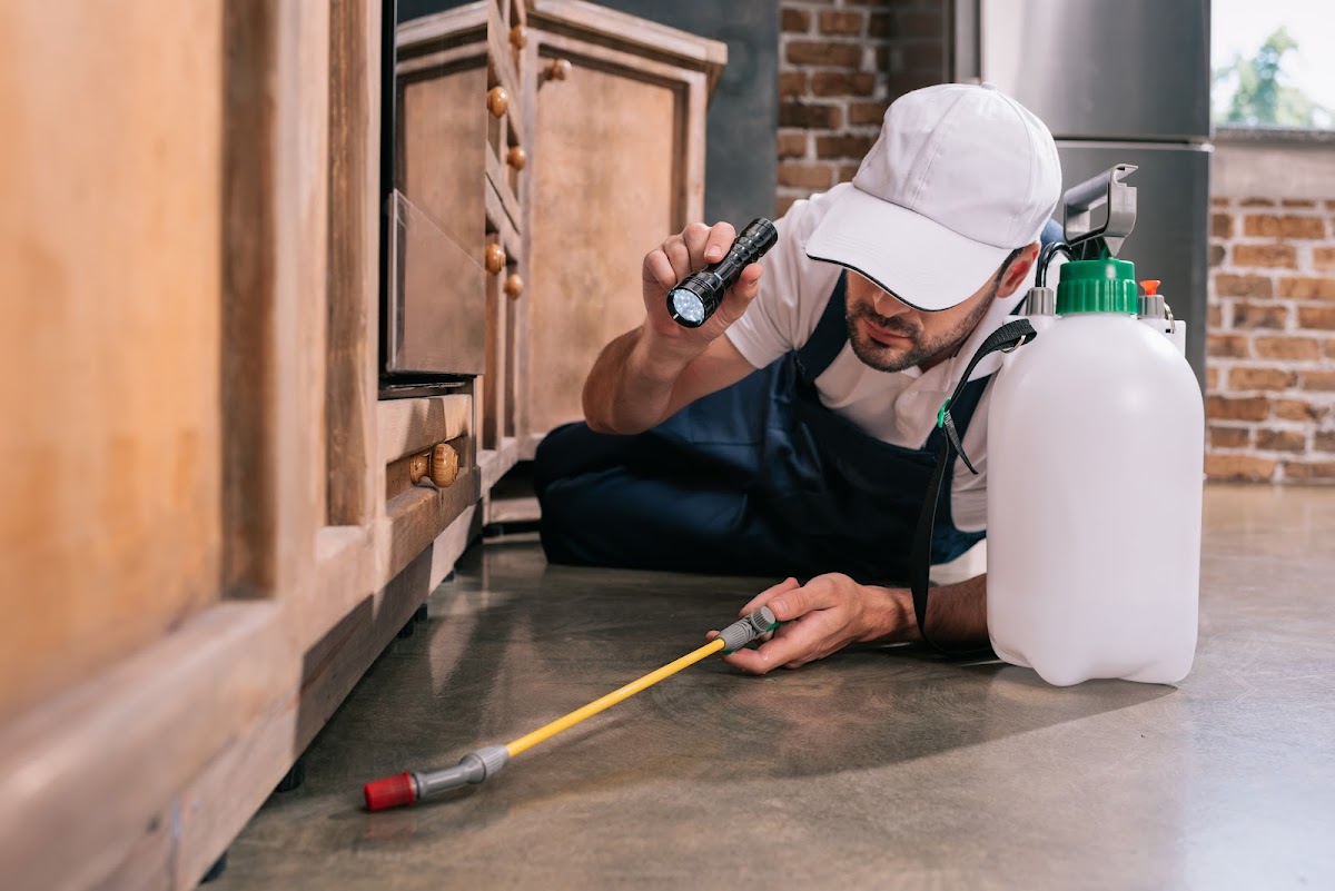 Termite Control Dubai